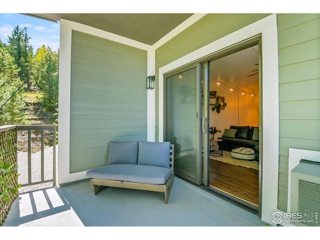 31270 John Wallace Rd 305, Evergreen, CO 80439