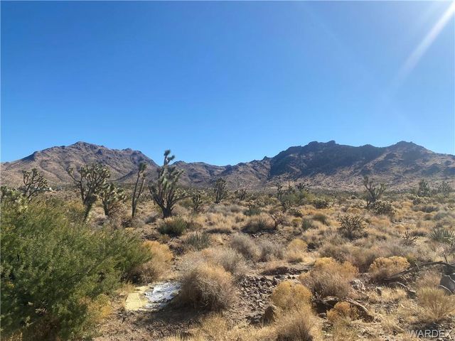 LOTS 257, 284 PALM Drive, Dolan Springs, AZ 86441