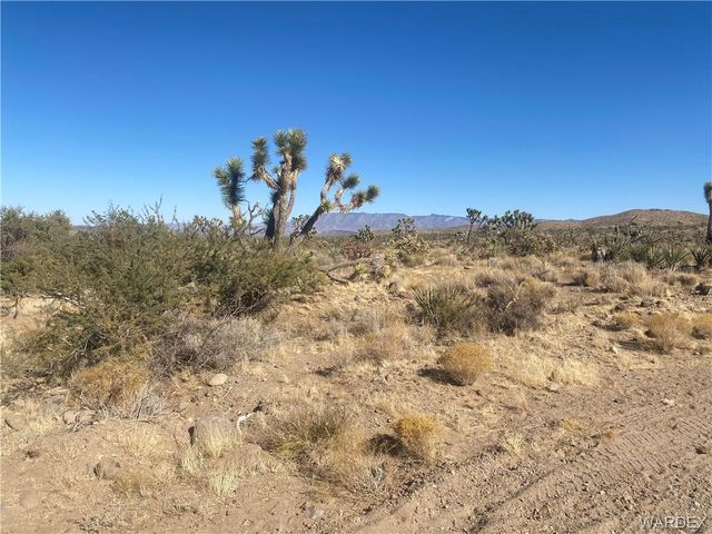 LOTS 257, 284 PALM Drive, Dolan Springs, AZ 86441