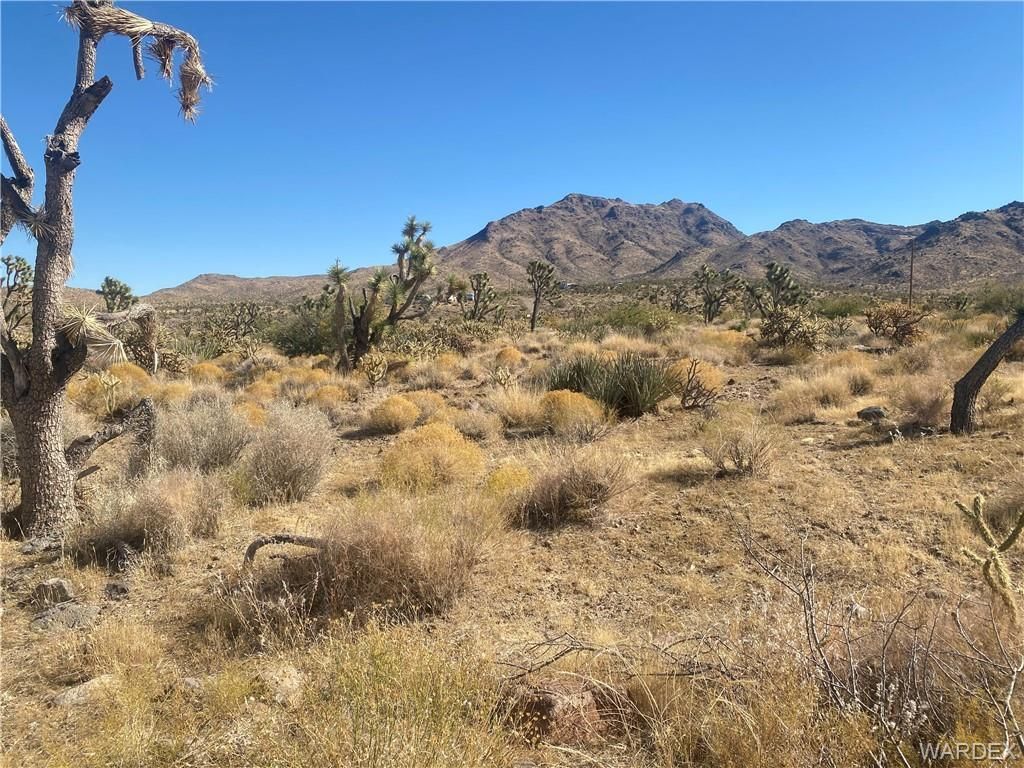 LOTS 257, 284 PALM Drive, Dolan Springs, AZ 86441