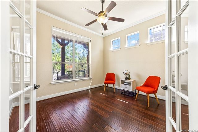 3830 Ox-Eye Daisy, San Antonio, TX 78261