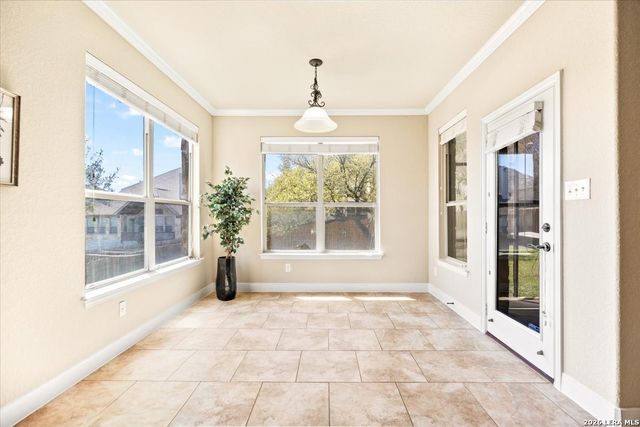 3830 Ox-Eye Daisy, San Antonio, TX 78261