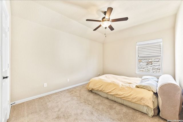 3830 Ox-Eye Daisy, San Antonio, TX 78261