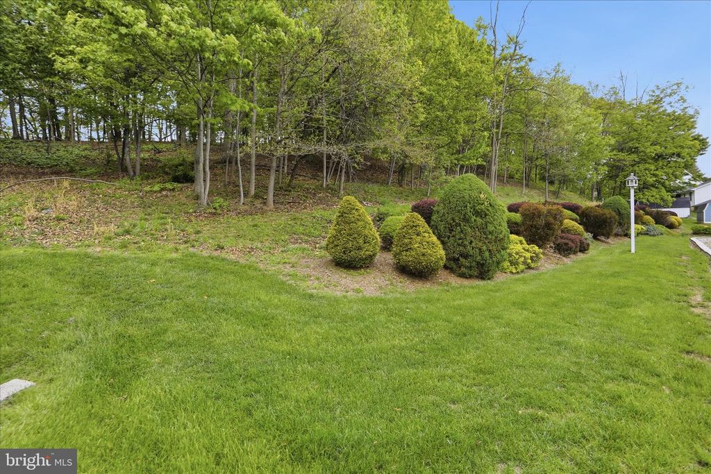 Image 137 of property listing at 12819 WOODBINE RD SW, Cresaptown, MD 21502