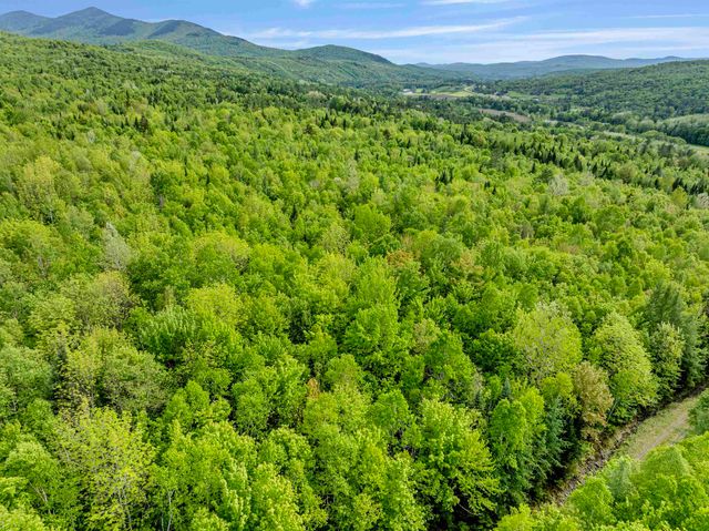 Lot 9 Off US Route 3, Columbia, NH 03576