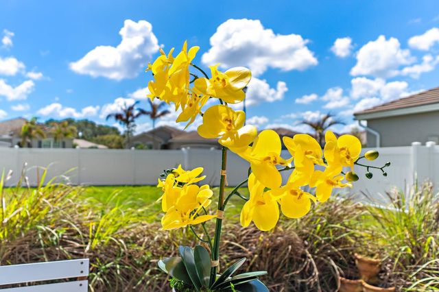 2325 SW Strawberry Terrace, Palm City, FL 34990