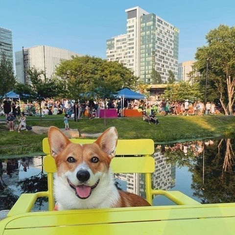 2 Earhart Street 1001, Cambridge, MA 02141