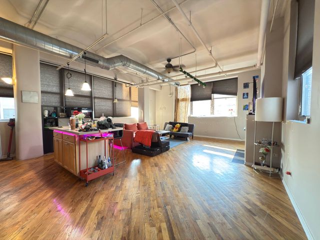 500 S Clinton Street 243, Chicago, IL 60607