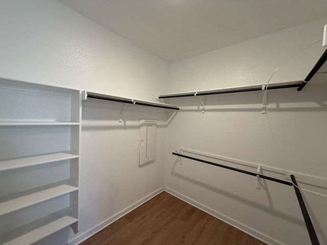 2037 Saddlery ST, Leander, TX 78641