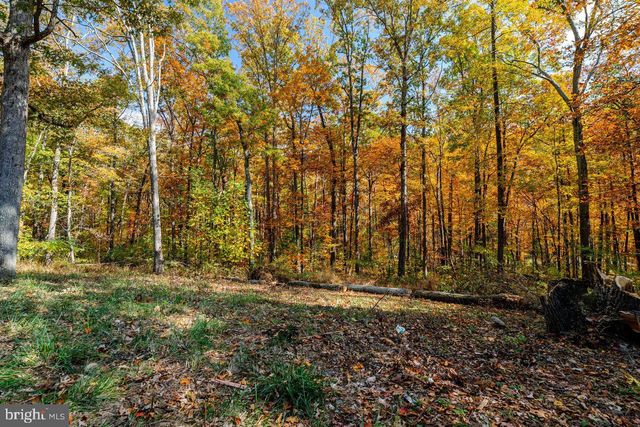 115 RISK RD, New Market, VA 22844