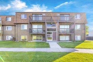 124 Boardwalk Street GE, Elk Grove Village, IL 60007