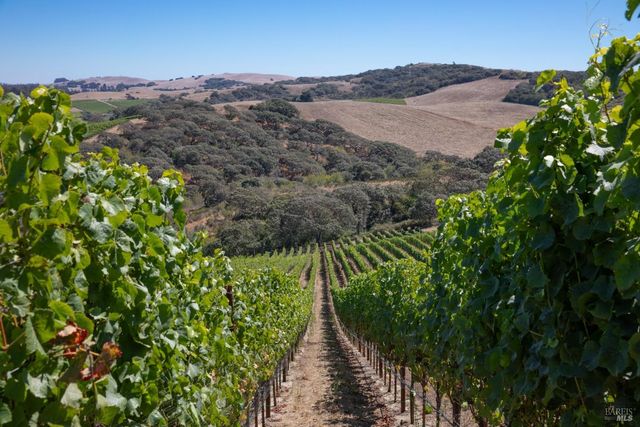 3545 Bloomfield Rd, Sebastopol, CA 95472