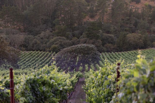 3545 Bloomfield Rd, Sebastopol, CA 95472