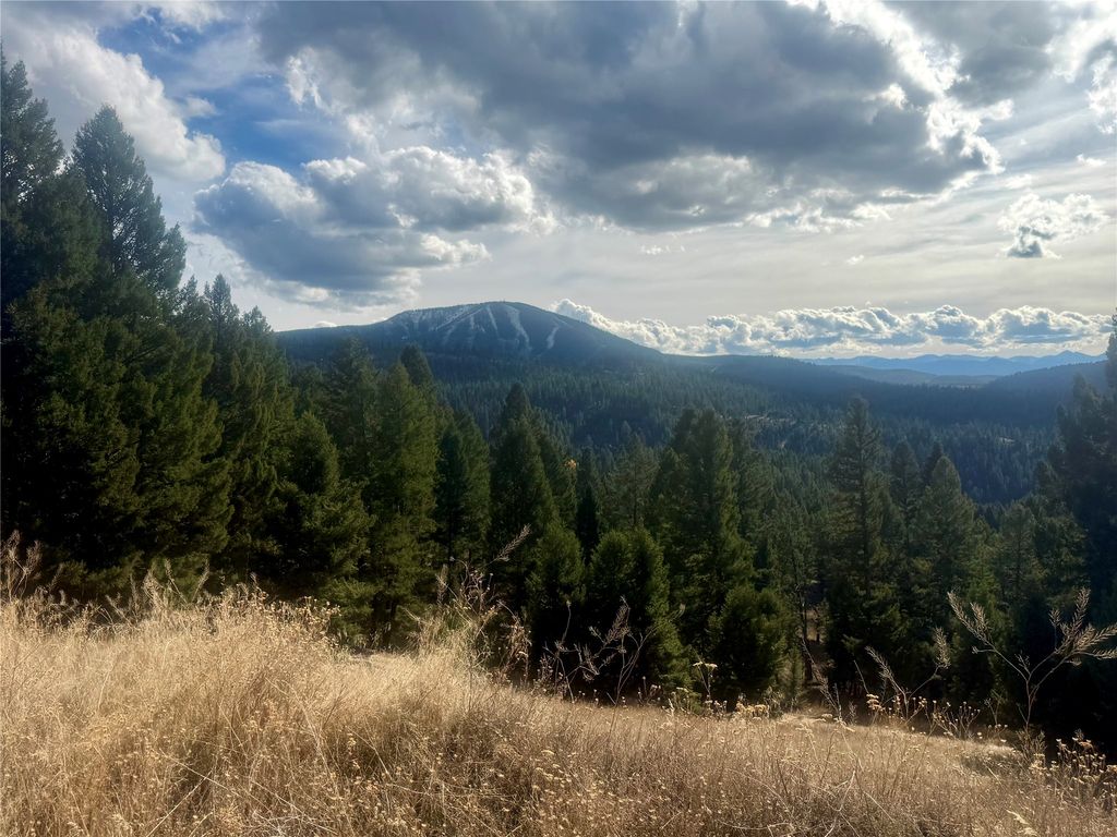 Lot 2 Scranton Lode, Philipsburg, MT 59858 photo 2