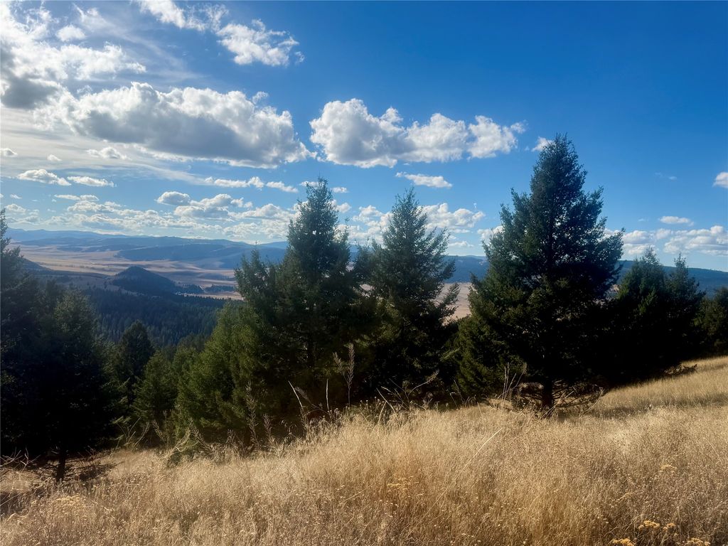 Lot 2 Scranton Lode, Philipsburg, MT 59858 photo 3