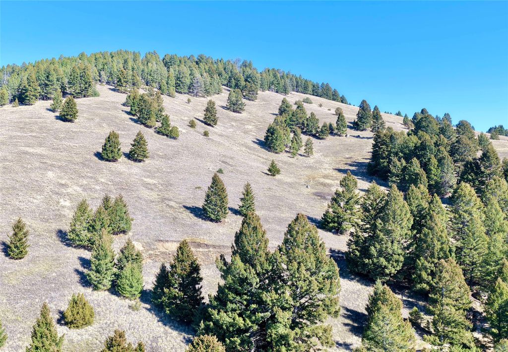 Lot 2 Scranton Lode, Philipsburg, MT 59858 photo 4