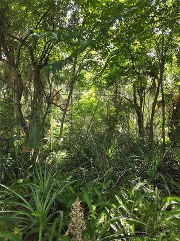 DUTTON AVENUE, Deland, FL 32720