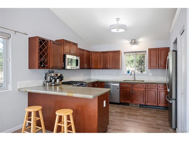 560 Gunsmoke Dr, Bailey, CO 80421