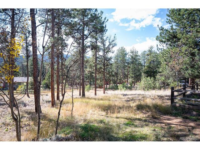 560 Gunsmoke Dr, Bailey, CO 80421
