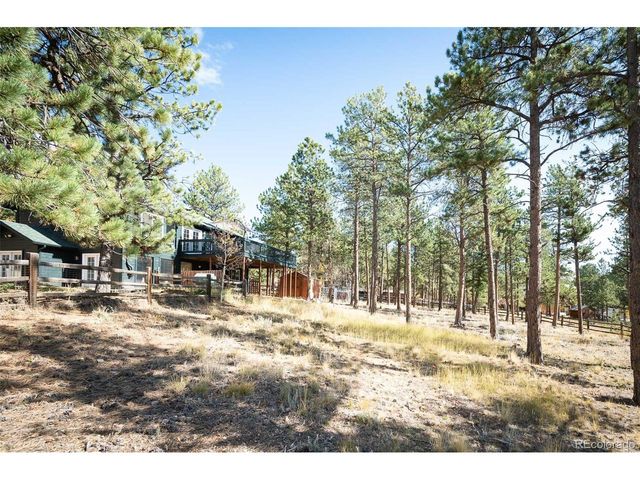 560 Gunsmoke Dr, Bailey, CO 80421
