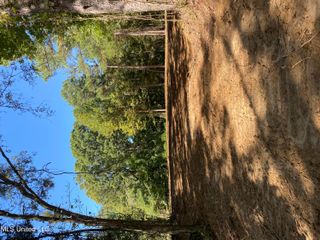 O Bluff Road, Coldwater, MS 38618