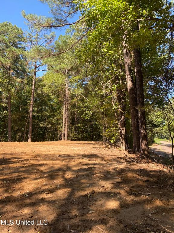 O Bluff Road, Coldwater, MS 38618 — photo 2