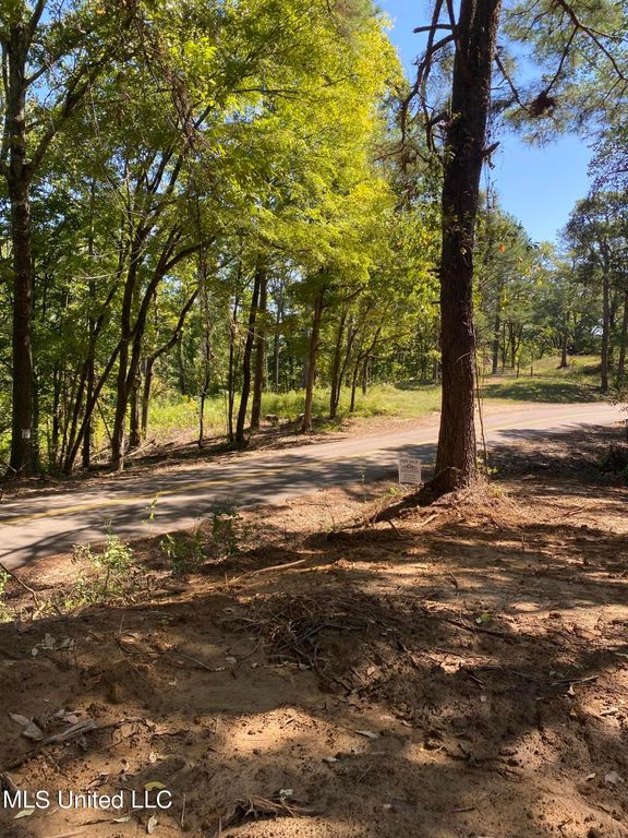 O Bluff Road, Coldwater, MS 38618 — photo 3