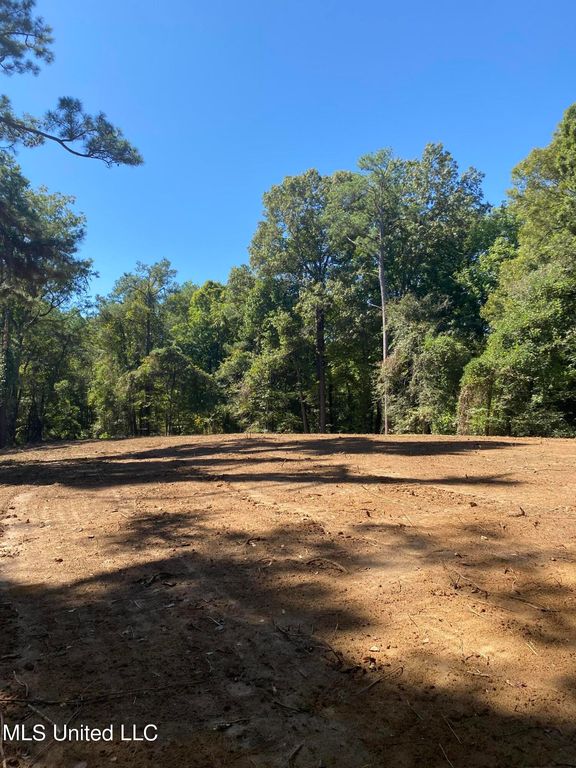 O Bluff Road, Coldwater, MS 38618 — photo 4