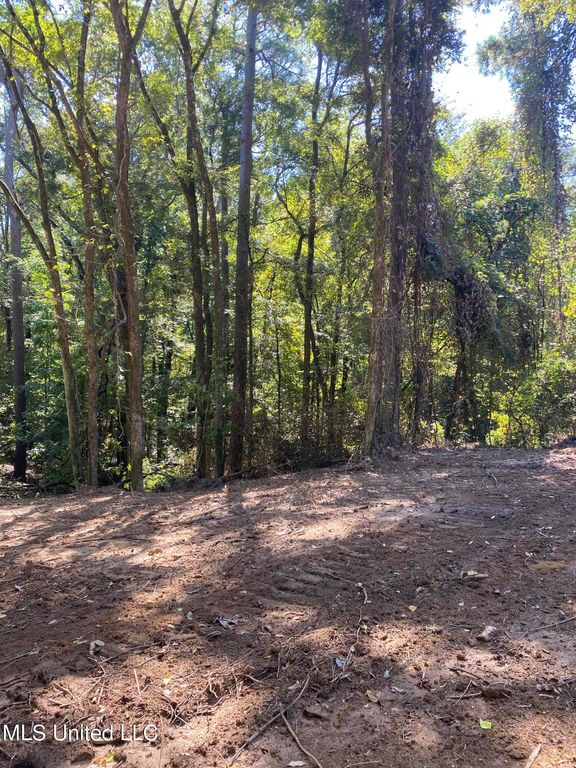 O Bluff Road, Coldwater, MS 38618 — photo 5