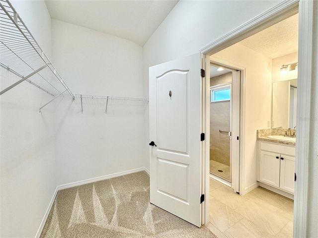 6203 MILAGROS COURT, The Villages, FL 32163