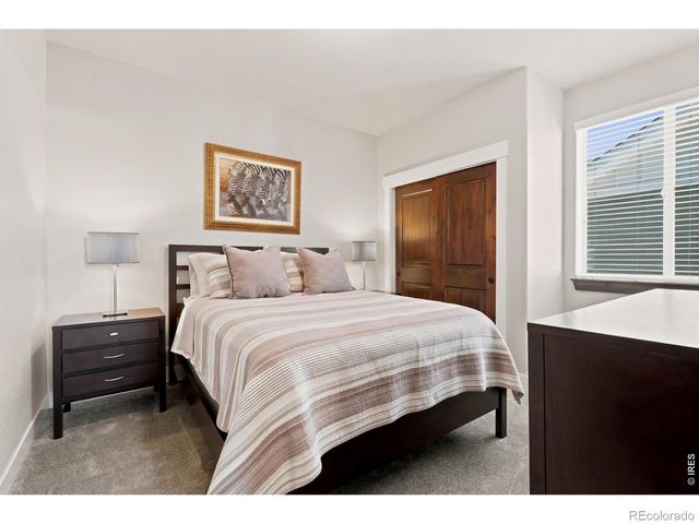 674 Vermilion Peak Drive, Windsor, CO 80550