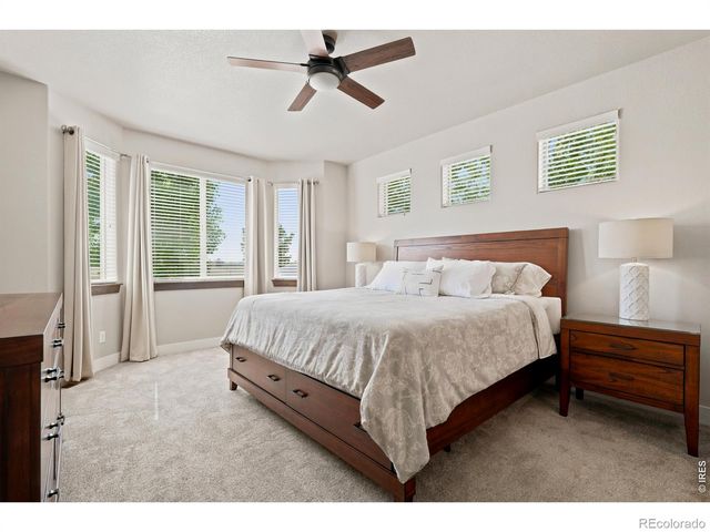 674 Vermilion Peak Drive, Windsor, CO 80550