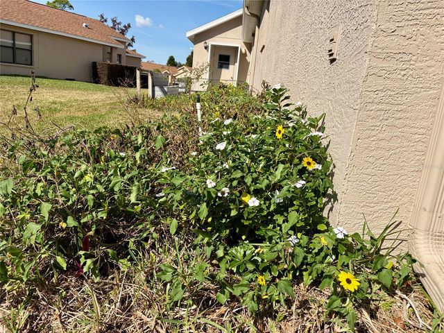 11430 KINGSTREE COURT, Spring Hill, FL 34609