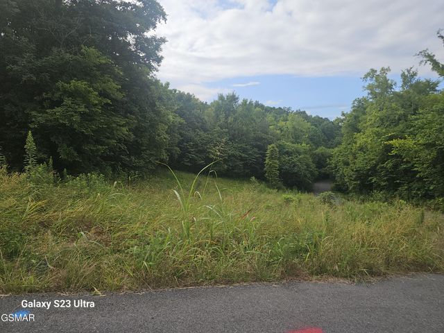 0 Ivy Way, Newport, TN 37821
