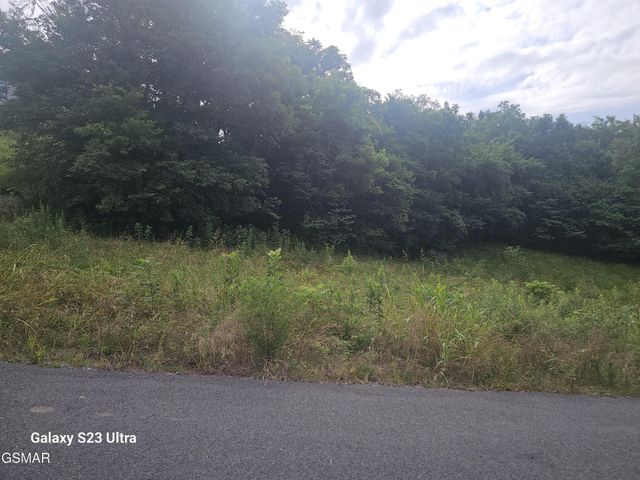 0 Ivy Way, Newport, TN 37821