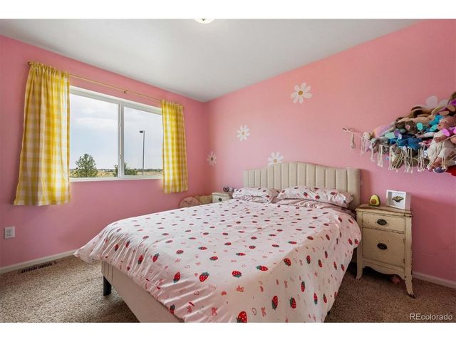 21061 Randolph Pl, Denver, CO 80249