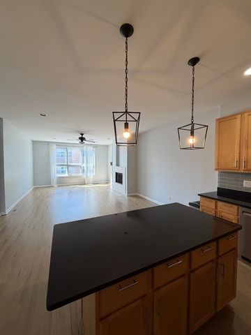 1610 W Grand Avenue 3A, Chicago, IL 60622