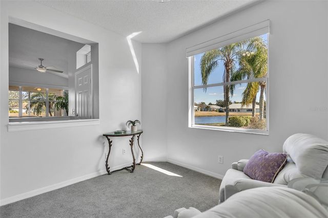 1006 RADISON LAKE DRIVE 6, Sun City Center, FL 33573