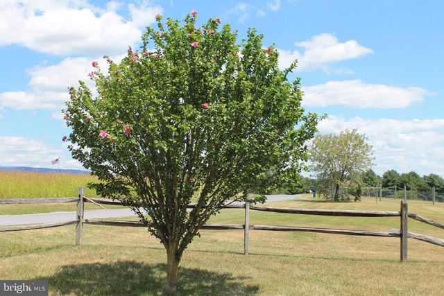 365 HILLCREST RD, Edinburg, VA 22824