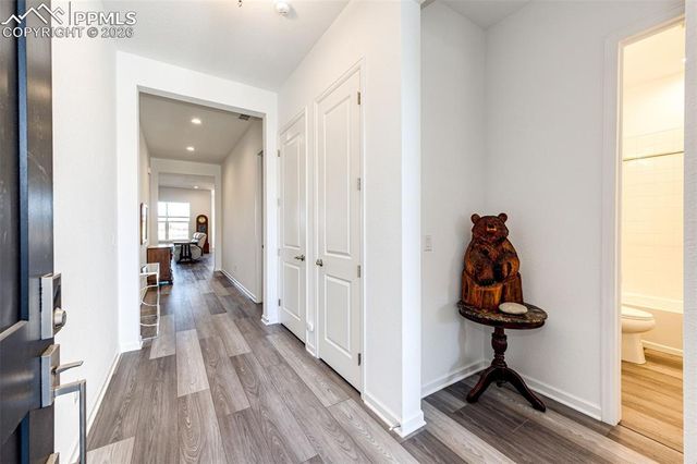 5681 Water Avens Drive, Castle Rock, CO 80104