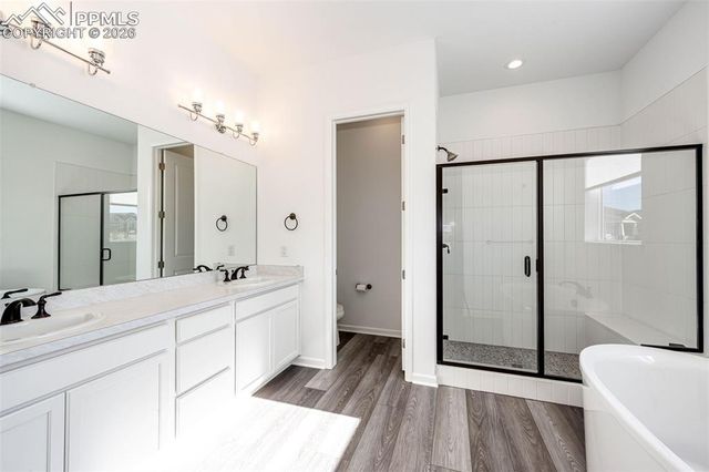 5681 Water Avens Drive, Castle Rock, CO 80104