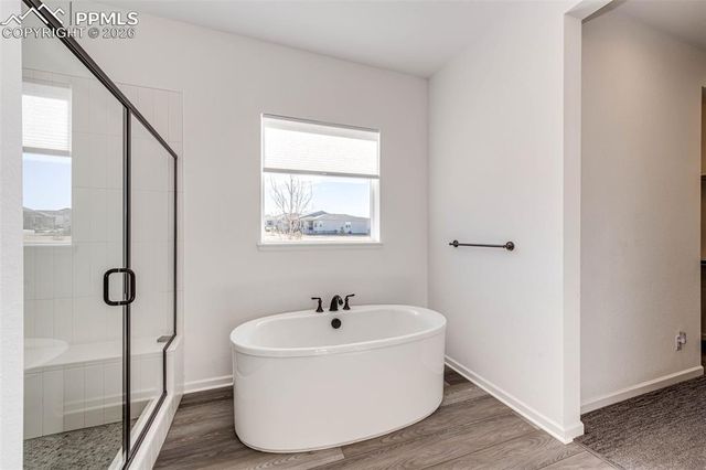 5681 Water Avens Drive, Castle Rock, CO 80104