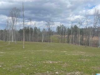 0001 TRUMAN ALDRICH PARKWAY, West Blocton, AL 35184