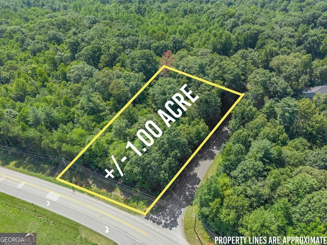 0 Hwy 255, Cleveland, GA 30528