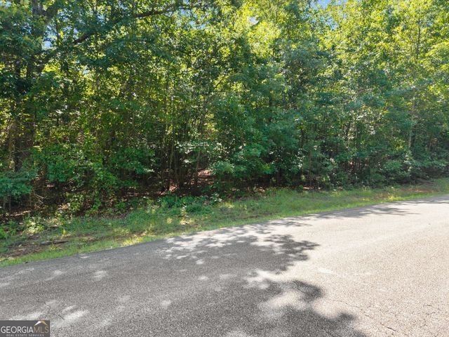 0 Hwy 255, Cleveland, GA 30528
