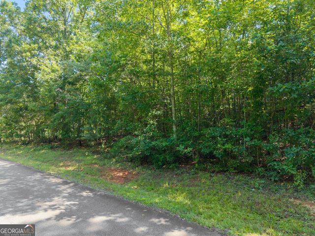 0 Hwy 255, Cleveland, GA 30528