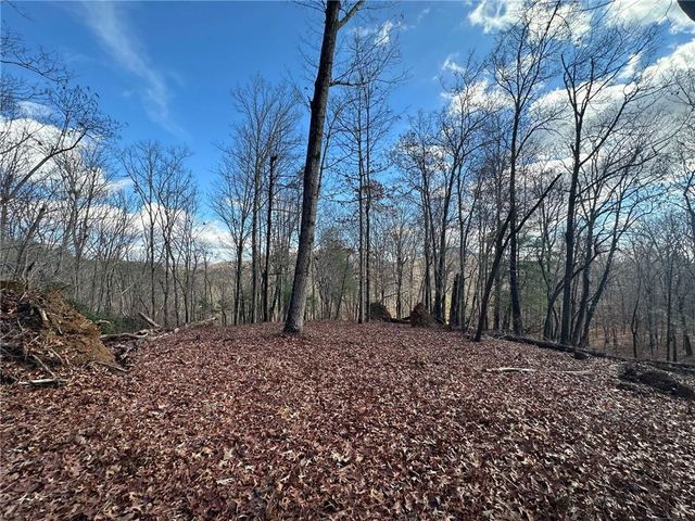 200 Mincey Acres Drive, Murrayville, GA 30564