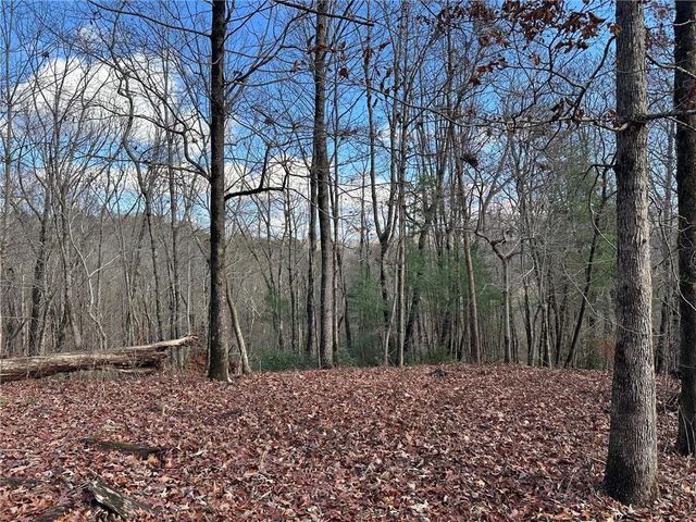 200 Mincey Acres Drive, Murrayville, GA 30564