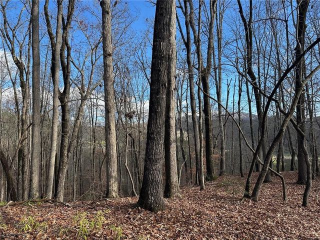 200 Mincey Acres Drive, Murrayville, GA 30564