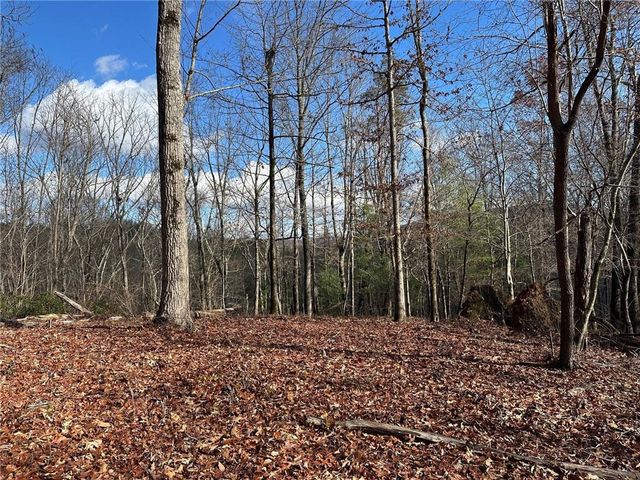200 Mincey Acres Drive, Murrayville, GA 30564